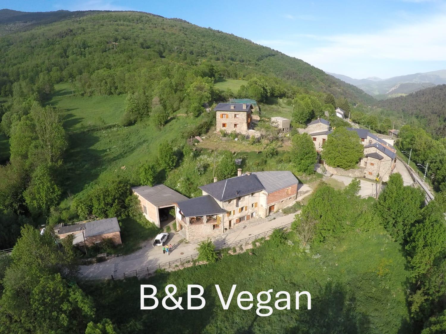 Cal Calau Vega Bed & Breakfast Planoles Exterior foto